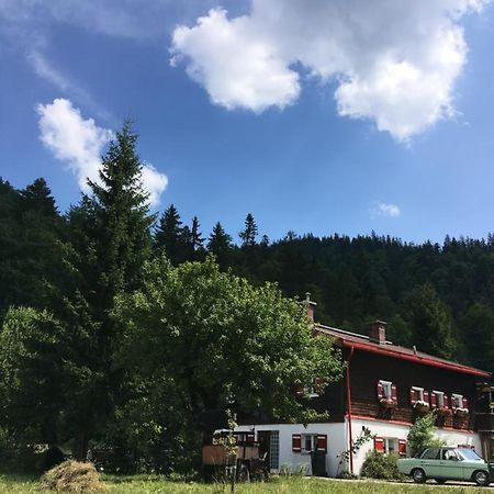 Gatterl Zum See Райт им Винкл Екстериор снимка