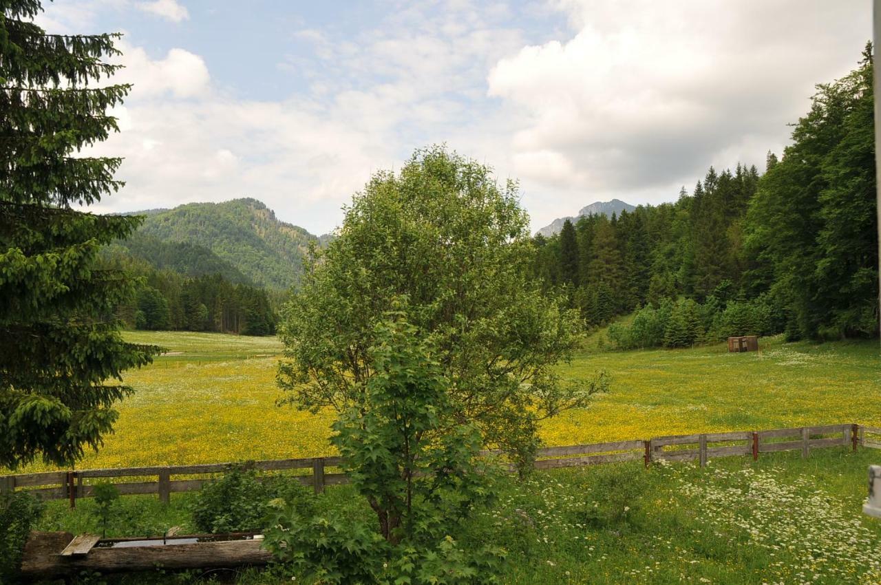 Gatterl Zum See Райт им Винкл Екстериор снимка