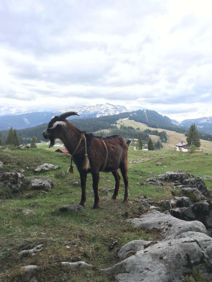 Gatterl Zum See Райт им Винкл Екстериор снимка