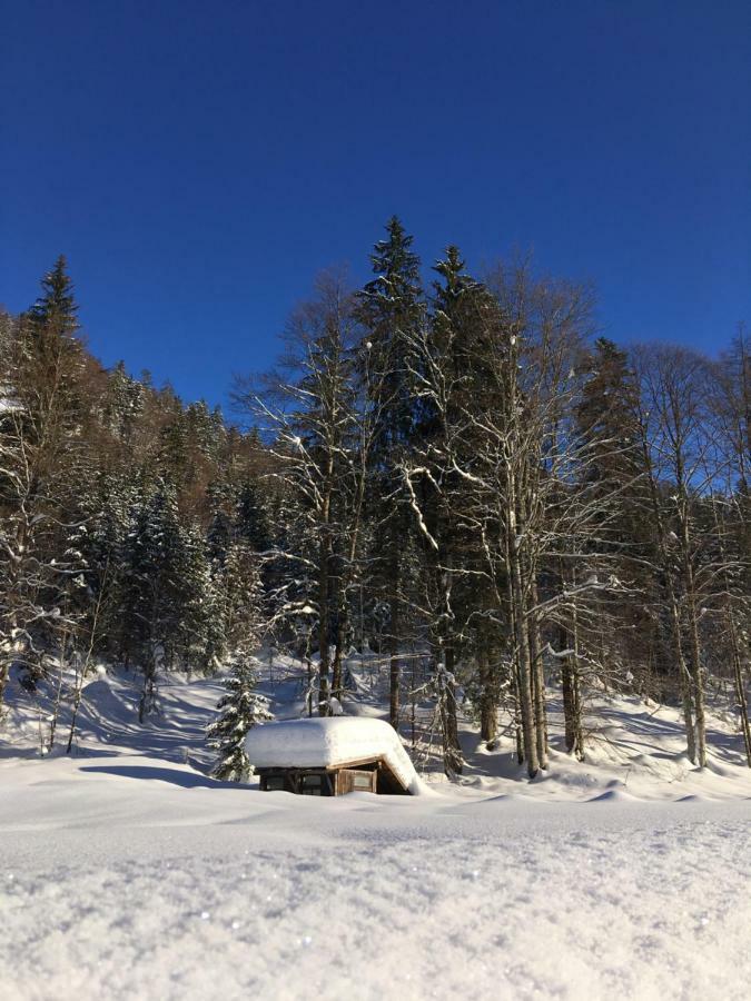 Gatterl Zum See Райт им Винкл Екстериор снимка